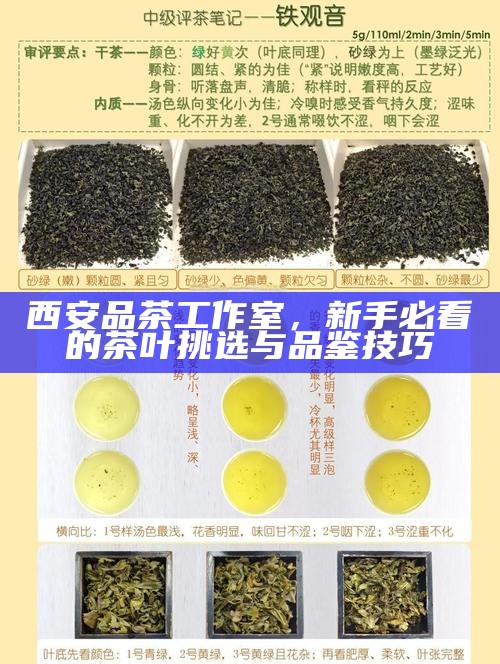 西安品茶工作室，新手必看的茶叶挑选与品鉴技巧