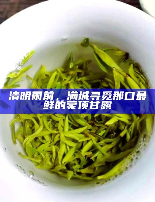 清明雨前，满城寻觅那口最鲜的蒙顶甘露