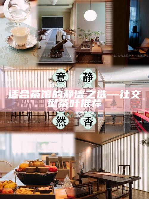 适合茶馆的静谧之选—社交型茶叶推荐