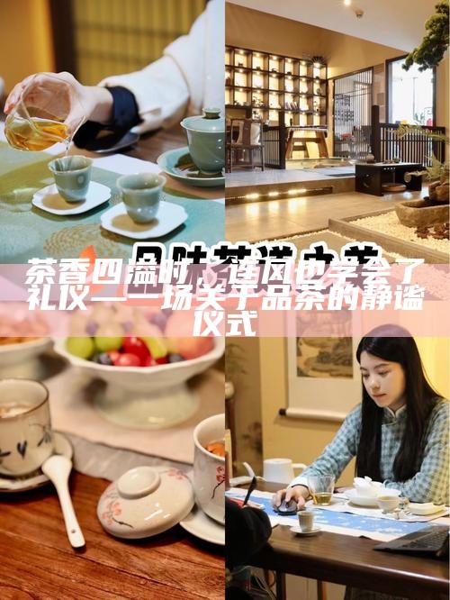 茶香四溢时，连风也学会了礼仪—一场关于品茶的静谧仪式